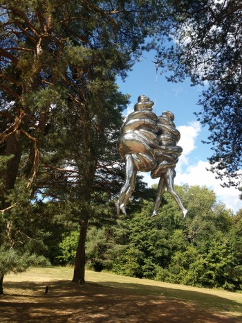 00001IMG_00001_BURST20180804105032_COVER